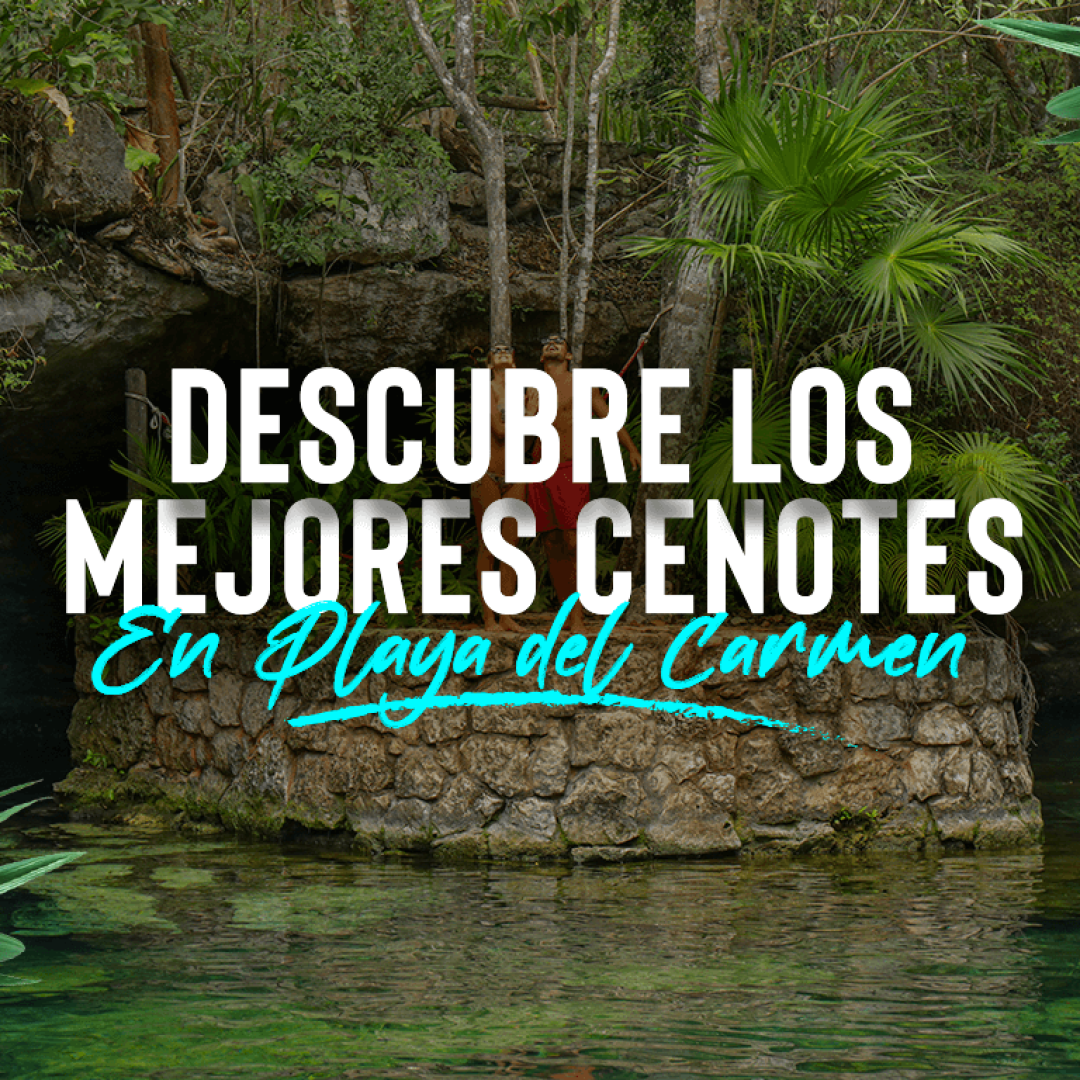 SP-BI-Descubre-Los-Mejores-Cenotes-En-Playa-del-Carmen 2